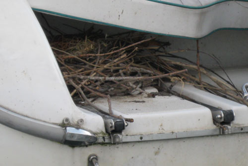 tutela e rispetto del Lago Maggiore