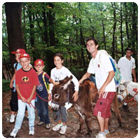 trekking con gli asinelli